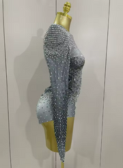 Sparkle Silver Rhinestone Stretch Bodysuit with Long Sleeves