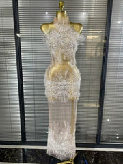 Tanselle Sleeveless O Neck Sheer Mesh Bodycon Long Dress