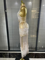 Tanselle Sleeveless O Neck Sheer Mesh Bodycon Long Dress