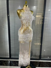 Tanselle Sleeveless O Neck Sheer Mesh Bodycon Long Dress