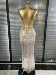 Tanselle Sleeveless O Neck Sheer Mesh Bodycon Long Dress