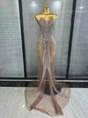 Meisha silver rhinestone strapless mesh mermaid gown for women. Elegant floor-length dress for parties, birthdays, and events.