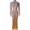 Carmela Sexy Full Rhinestone Mesh Sheer Long Sleeve Bodycon Dress