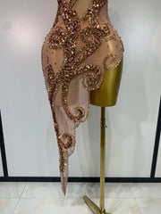 Jillian sparkly diamond sequin sheer mesh asymmetric bodycon dress
