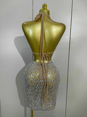 Sabrina Sparkly Crystal Rhinestone Mesh Sheer Bodycon Dress