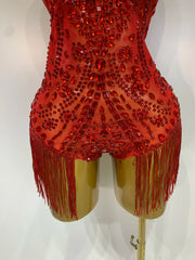 Envious Designs Sharmaine sparkly rhinestone tassel bodysuit sexy birthday dress for birthday and nightclub styling