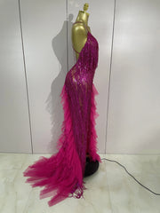 Gabrielle rhinestone fringe backless sheer maxi dress with sparkling crystals and elegant see-through design.