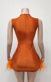 Sparkly rhinestone sleeveless birthday dress for women party and club wear.