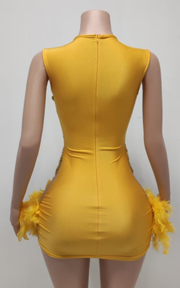 Sparkly rhinestone sleeveless birthday dress for women party and club wear.