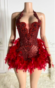 Mini birthday dress with glitter crystals and feathered details for parties and celebrations.