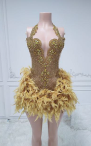 Mini birthday dress with glitter crystals and feathered details for parties and celebrations.