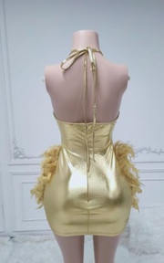 Mini birthday dress with glitter crystals and feathered details for parties and celebrations.