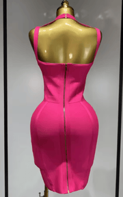 Carole Sexy Bodycon Mini Club Party Dress