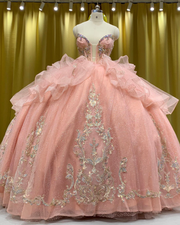 Dusty rose pink sparkle quinceañera ball gown with iridescent scrollwork appliqués.