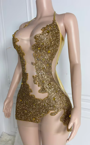 Sparkly Sheer Mesh Rhinestone Illusion Halter Bodycon Birthday Dress