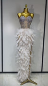 Anna Sparkly Rhinestone Feather Mesh Long Dress