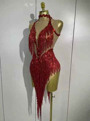 Sexy 2026 Latin Dance Outfit, New Sheer Mesh Dress with Sequins and Fringe for Women, Bar, Club, Performance, Party, Stage Costume