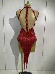 Sexy 2026 Latin Dance Outfit, New Sheer Mesh Dress with Sequins and Fringe for Women, Bar, Club, Performance, Party, Stage Costume