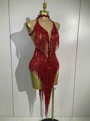 Sexy 2026 Latin Dance Outfit, New Sheer Mesh Dress with Sequins and Fringe for Women, Bar, Club, Performance, Party, Stage Costume