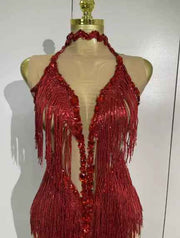 Sexy 2026 Latin Dance Outfit, New Sheer Mesh Dress with Sequins and Fringe for Women, Bar, Club, Performance, Party, Stage Costume