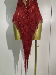 Sexy 2026 Latin Dance Outfit, New Sheer Mesh Dress with Sequins and Fringe for Women, Bar, Club, Performance, Party, Stage Costume