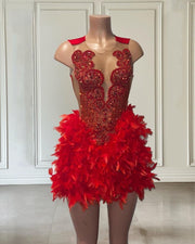 Red Rhinestone Birthday Party Dress For Women Luxury  Scoop Neck Short Feathers Prom Gowns  Cocktail Wear