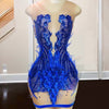 Mannequin Wearing a Royal Blue Feathered Birthday Dress with Dramatic Trim, Styled for Glamorous Celebrations