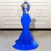 Sheer Lace Mermaid Prom Dress 2024