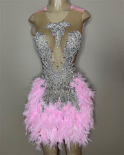 Diamond Pink Short Party Prom Dresses Sexy Illusion Silver Beads Crystals Cocktail Mini Birthday Gowns