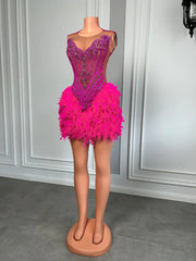 Hot Pink Feathered Beaded Party Gown
