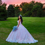 Sweetheart Princess Quinceanera Dress