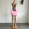 Luxury Sexy Sheer Silver Rhinestone Cocktail Pink Feather Dress