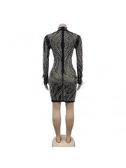 Feather Mesh Perspective Drill Beads Long Sleeve Dress