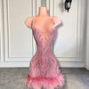 Stunning Sparkly Pink Feather Sheer Birthday Dress