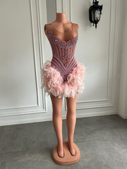 Stunning Sheer Mesh Luxury Beads Women Birthday Party Formal Gowns Pink Feather Short Prom Dresses
