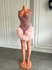 Stunning Sheer Mesh Luxury Beads Women Birthday Party Formal Gowns Pink Feather Short Prom Dresses