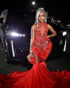 Red Luxury Beaded Rhinestone Feathers Prom Dress