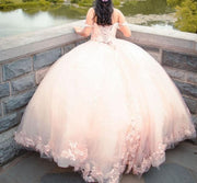Princess Off The Shoulder 3D Flowers Quinceanera Dress