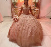 Sparkly Princess Floral  Strapless Sweetheart Quinceanera Dress